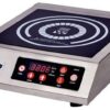 120V Induction Cooker