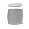 12" Flare Plate, 1" Deep