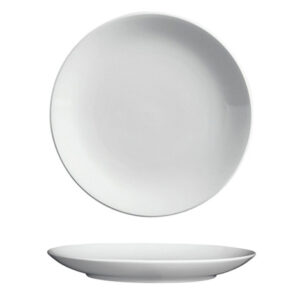 10 1/4" Round Plate / No Rim / 24