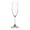 Infinium Flute 6.5 Oz