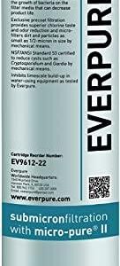 i20002 Filter Cartridge / .5 Micron / 1.67 GPM