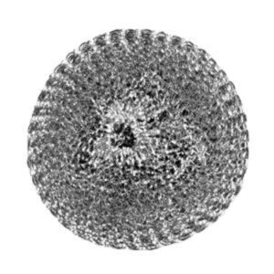 Stainless Scrubber Pad / 42G