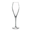 6 Oz / Glass Champagne Borm / 2 Dz / C228 ZX