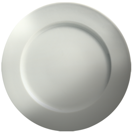 9" Round Plate-R.E./24