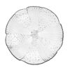 7 5/8" / Harmony Salad Plate / 3 Dz / 8-0732