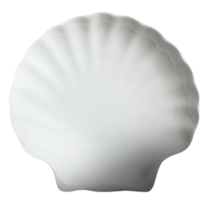 10 1/4" / Shell Dish / 24